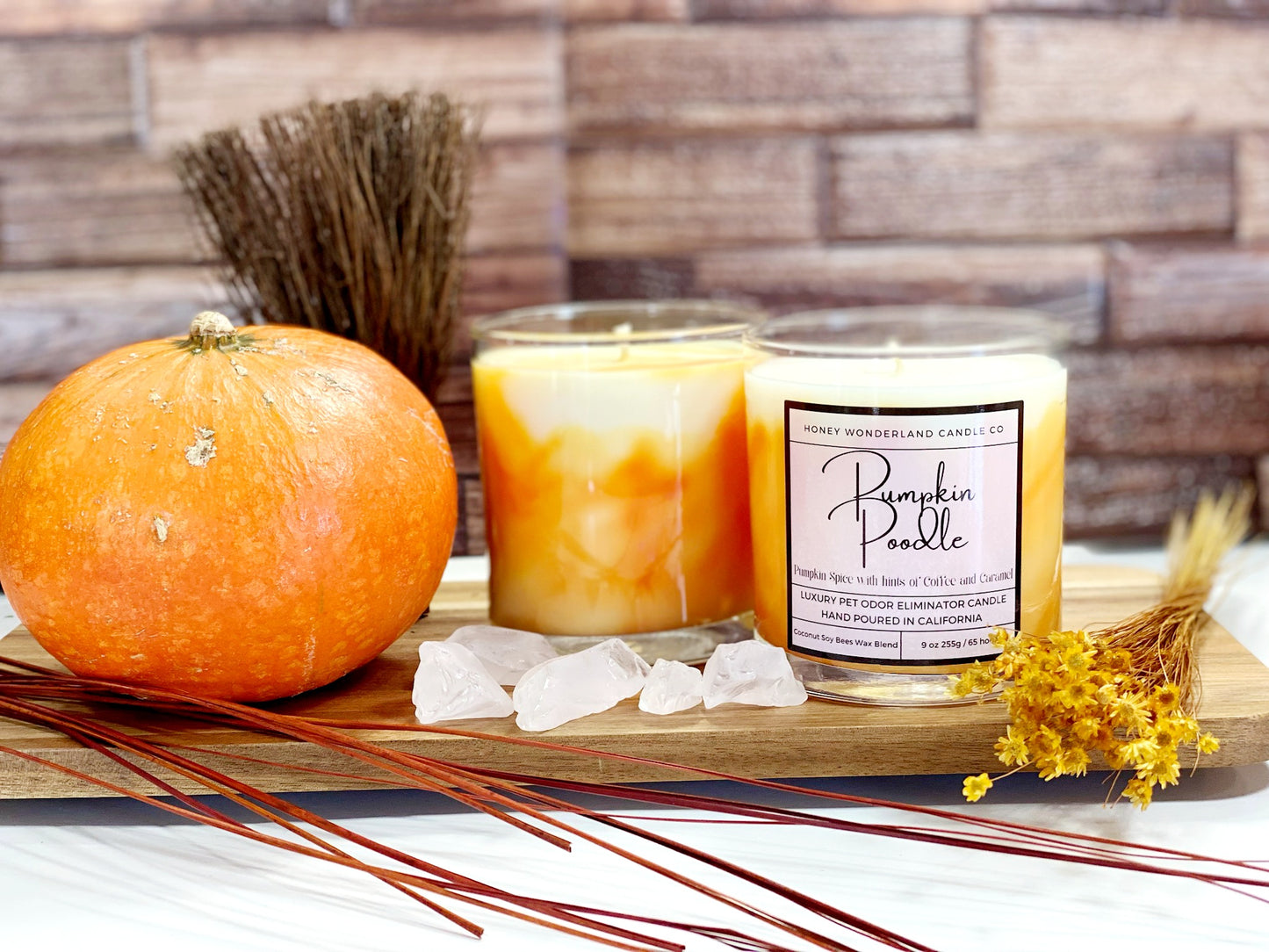 Pumpkin Poodle