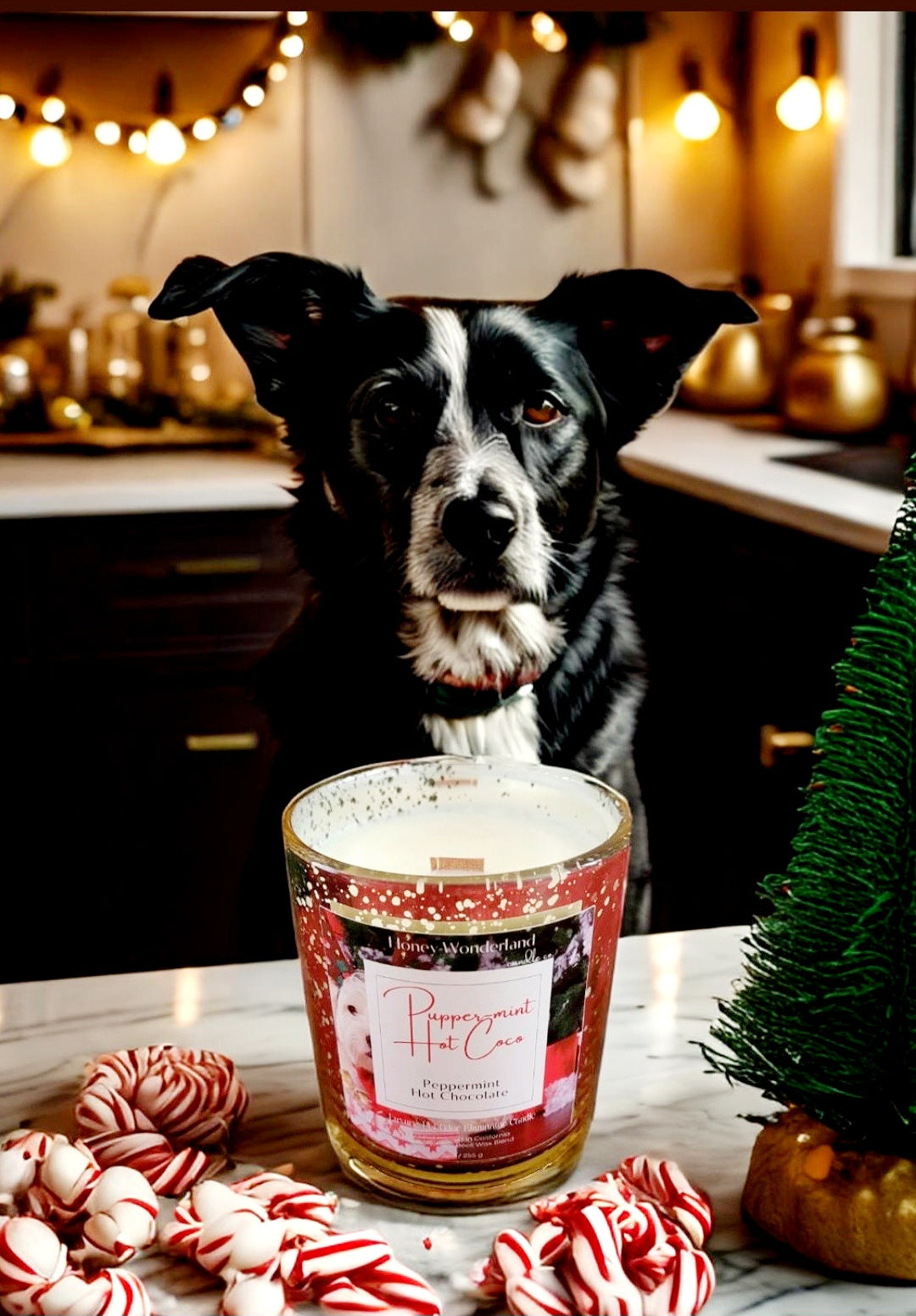 Pupper-Mint Hot Coco